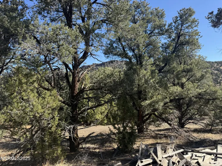 2120 Scorpion, Reno, Nevada 89521, ,Land,Residential,Scorpion,250057577 2120 Scorpion, Reno, Nevada 89521, ,Land,Residential,Scorpion,250057577