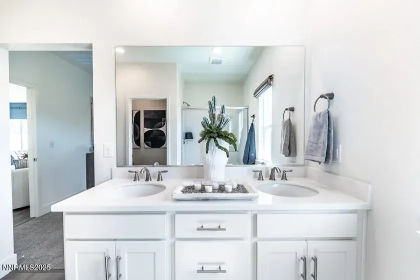 1312 Coco, Carson City, Nevada 89705, 4 Bedrooms Bedrooms, ,2 BathroomsBathrooms,Residential,Residential,Coco,250053068