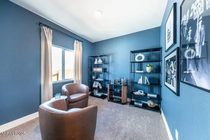 1312 Coco, Carson City, Nevada 89705, 4 Bedrooms Bedrooms, ,2 BathroomsBathrooms,Residential,Residential,Coco,250053068