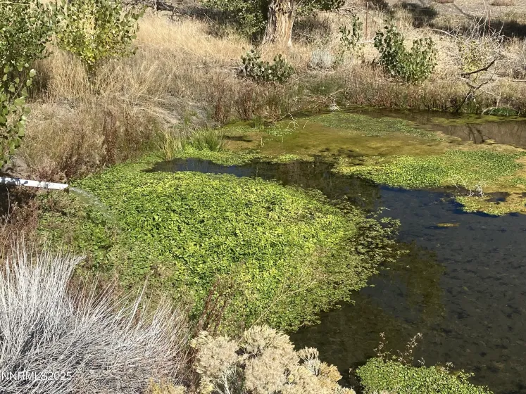 1155 Us Highway 395, Gardnerville, Nevada 89410, ,Land,Residential,Us Highway 395,250057609 1155 Us Highway 395, Gardnerville, Nevada 89410, ,Land,Residential,Us Highway 395,250057609