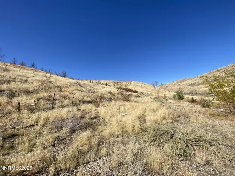1155 Us Highway 395, Gardnerville, Nevada 89410, ,Land,Residential,Us Highway 395,250057609 1155 Us Highway 395, Gardnerville, Nevada 89410, ,Land,Residential,Us Highway 395,250057609