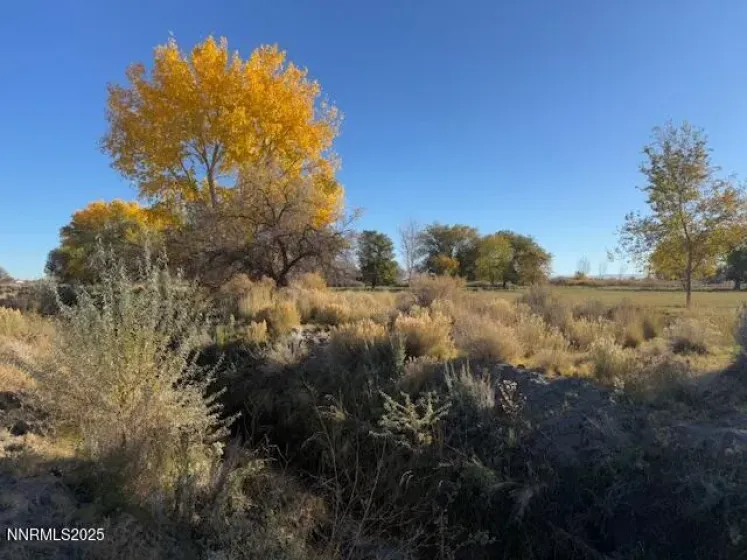 4050 Schindler, Fallon, Nevada 89406, ,Land,Residential,Schindler,250057614 4050 Schindler, Fallon, Nevada 89406, ,Land,Residential,Schindler,250057614