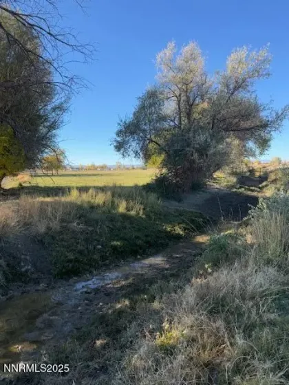 4050 Schindler, Fallon, Nevada 89406, ,Land,Residential,Schindler,250057614 4050 Schindler, Fallon, Nevada 89406, ,Land,Residential,Schindler,250057614