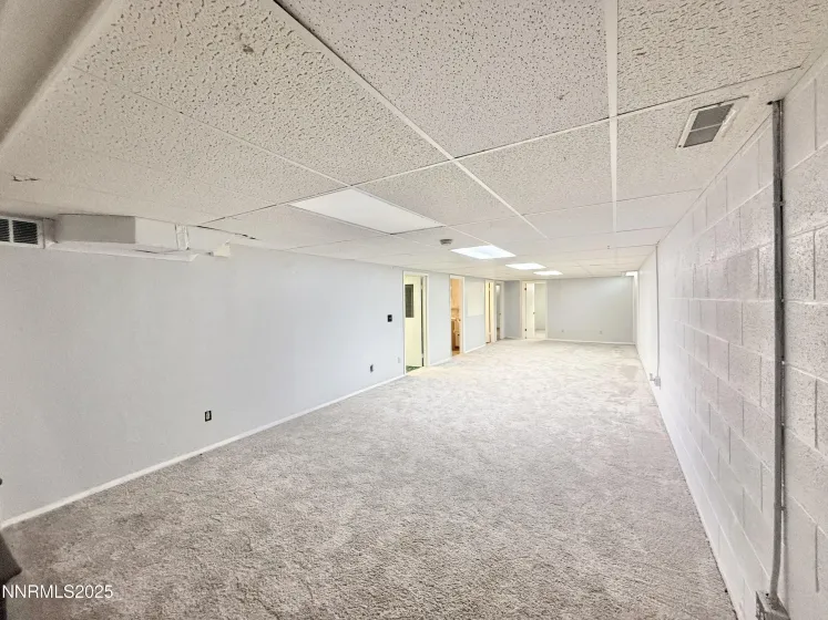 Basement Family Room