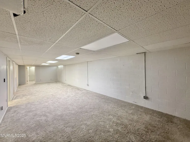 Basement Family Room