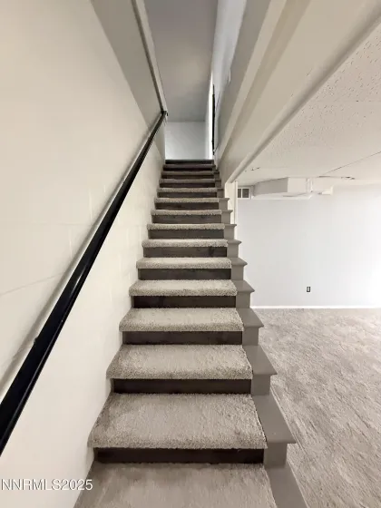 Basement Family Room