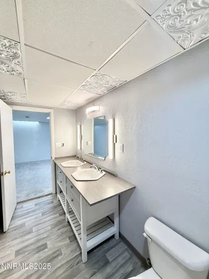 Basement Bathroom