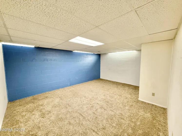 Basement Bedroom