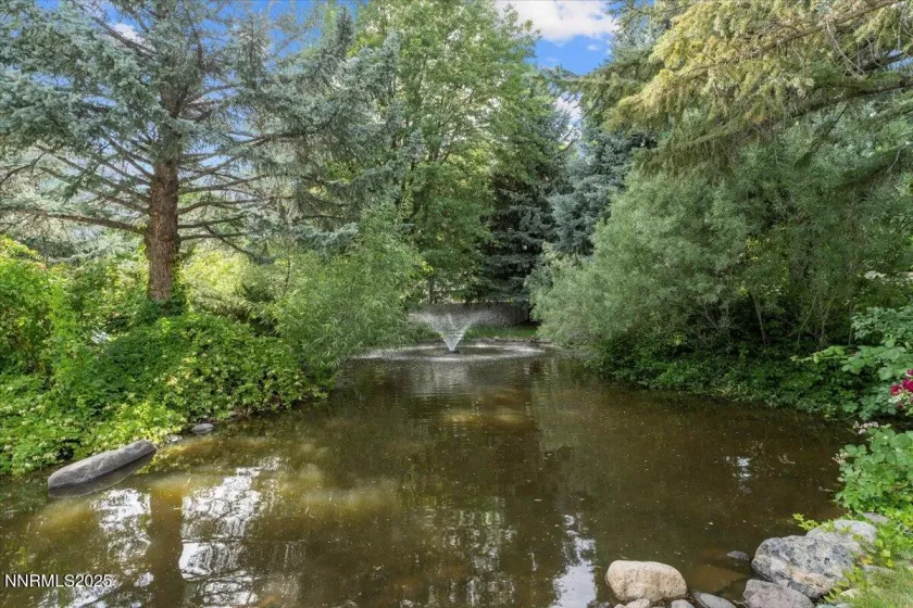 3945 Falling Water, Reno, Nevada 89519, 3 Bedrooms Bedrooms, ,2 BathroomsBathrooms,Residential,Residential,Falling Water,250057639