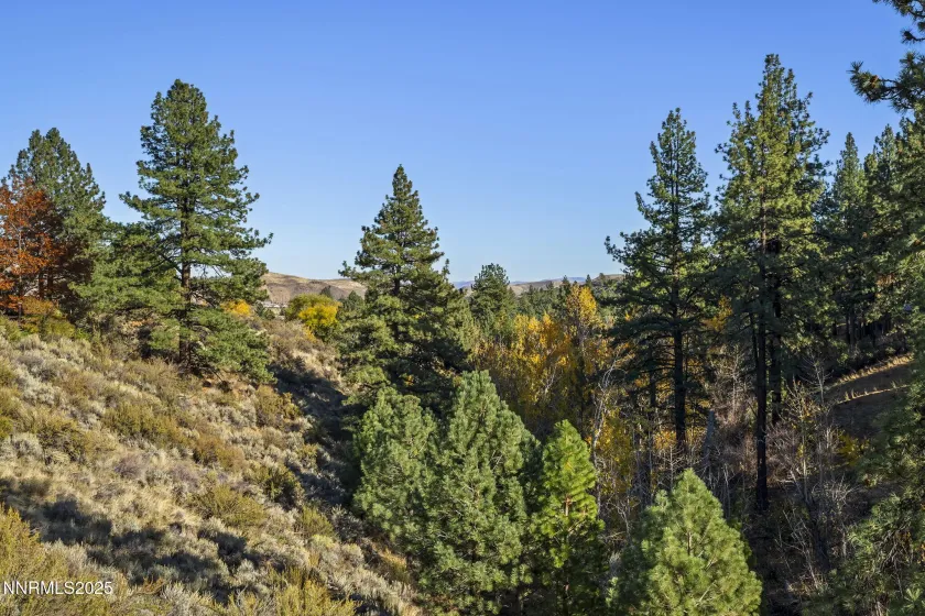 660 Dog Valley, Verdi, Nevada 89439, 4 Bedrooms Bedrooms, ,3 BathroomsBathrooms,Residential,Residential,Dog Valley,250057669