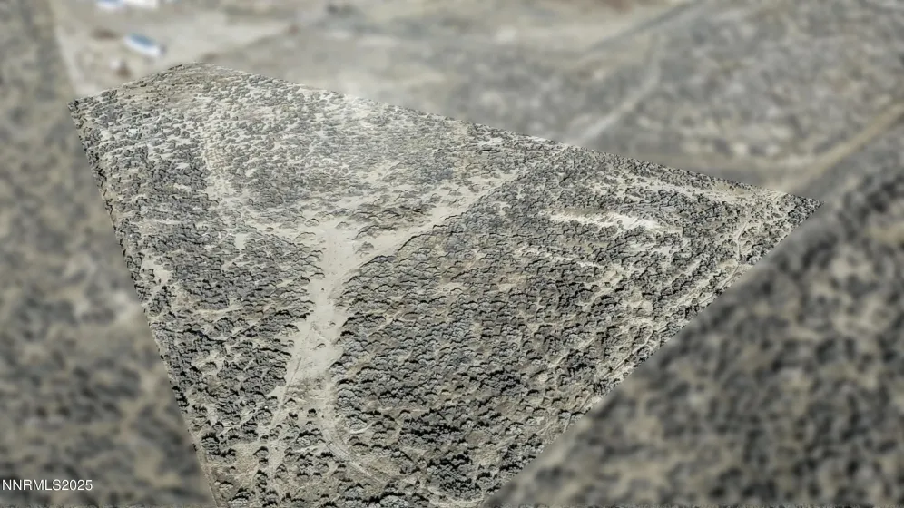 6120 Pedroli, Winnemucca, Nevada 89445, ,Land,Residential,Pedroli,250057688