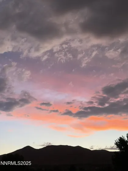 155 Veronica, Spanish Springs, Nevada 89436, 3 Bedrooms Bedrooms, ,3 BathroomsBathrooms,Residential,Residential,Veronica,250055417