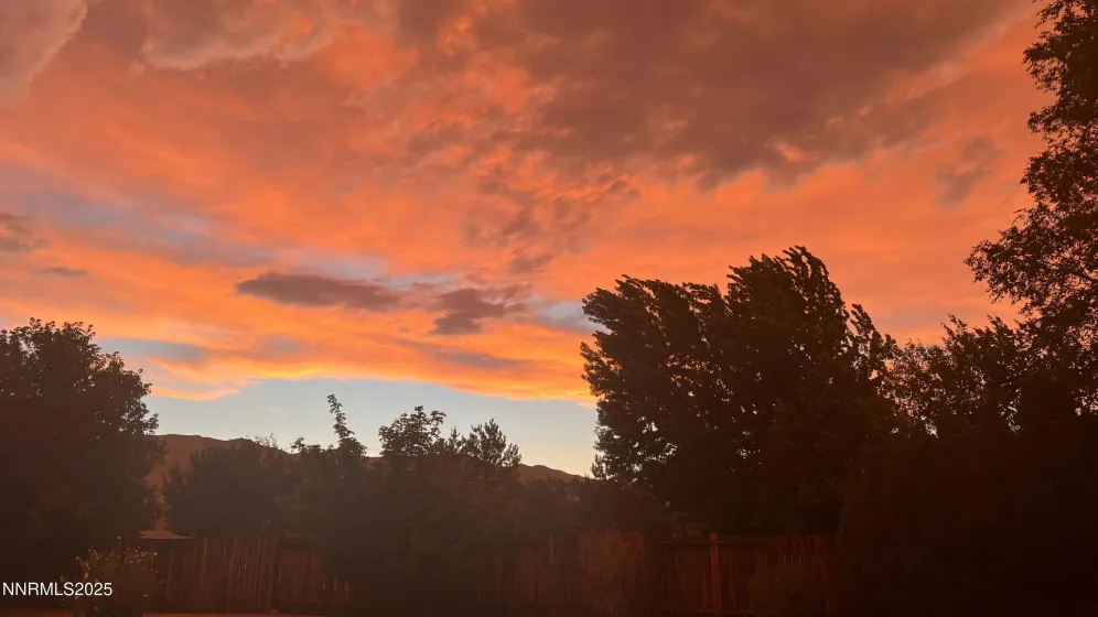 155 Veronica, Spanish Springs, Nevada 89436, 3 Bedrooms Bedrooms, ,3 BathroomsBathrooms,Residential,Residential,Veronica,250055417