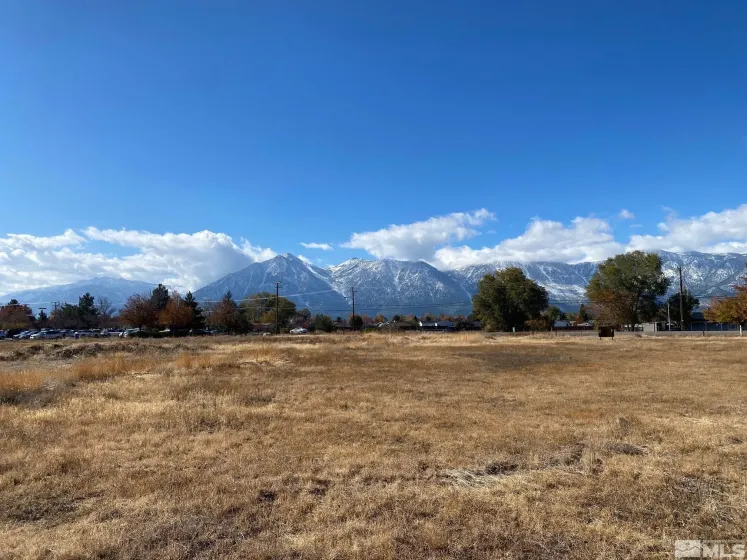 1391 Centerville, Gardnerville, Nevada 89410, ,Land,Residential,Centerville,240013881
