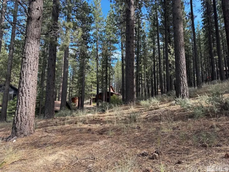 66 Pleasant Valley, Markleeville, California 96120, ,Land,Residential,Pleasant Valley,230008801