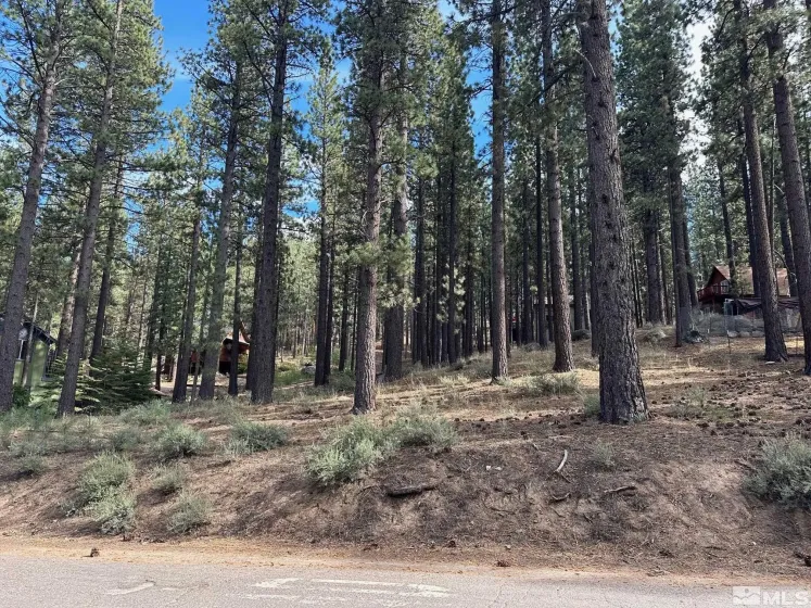 66 Pleasant Valley, Markleeville, California 96120, ,Land,Residential,Pleasant Valley,230008801