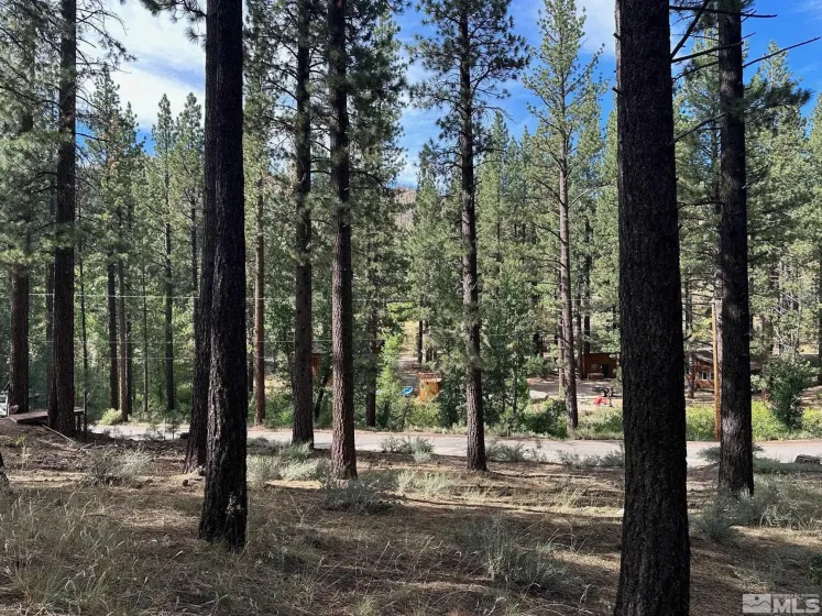 66 Pleasant Valley, Markleeville, California 96120, ,Land,Residential,Pleasant Valley,230008801