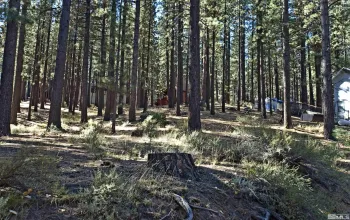 66 Pleasant Valley, Markleeville, California 96120, ,Land,Residential,Pleasant Valley,230008801