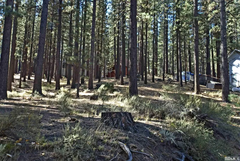 66 Pleasant Valley, Markleeville, California 96120, ,Land,Residential,Pleasant Valley,230008801