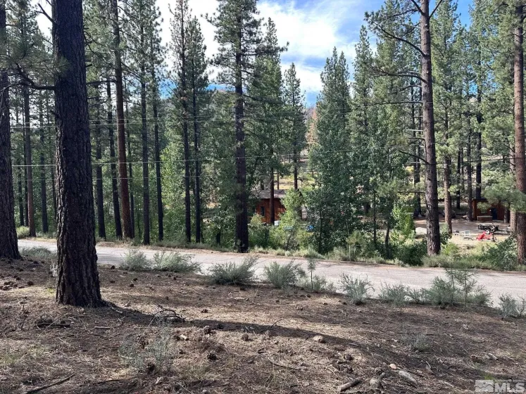 66 Pleasant Valley, Markleeville, California 96120, ,Land,Residential,Pleasant Valley,230008801