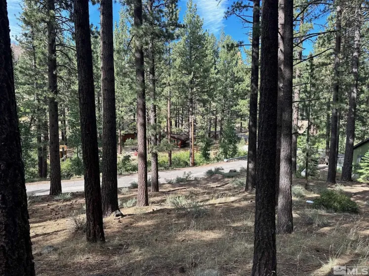 66 Pleasant Valley, Markleeville, California 96120, ,Land,Residential,Pleasant Valley,230008801