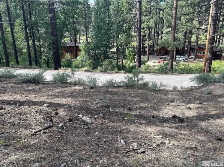 66 Pleasant Valley, Markleeville, California 96120, ,Land,Residential,Pleasant Valley,230008801