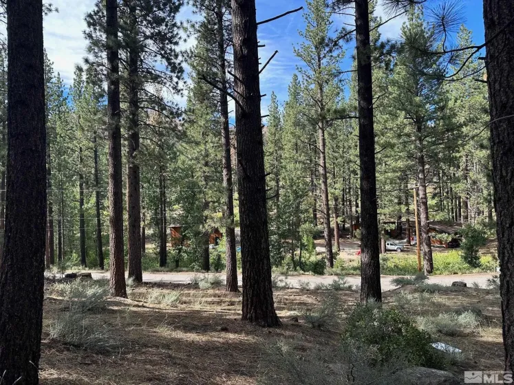 66 Pleasant Valley, Markleeville, California 96120, ,Land,Residential,Pleasant Valley,230008801