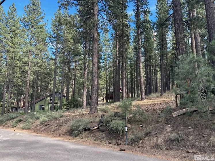 66 Pleasant Valley, Markleeville, California 96120, ,Land,Residential,Pleasant Valley,230008801