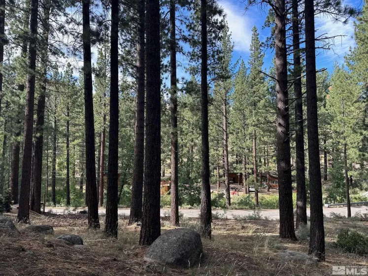 66 Pleasant Valley, Markleeville, California 96120, ,Land,Residential,Pleasant Valley,230008801