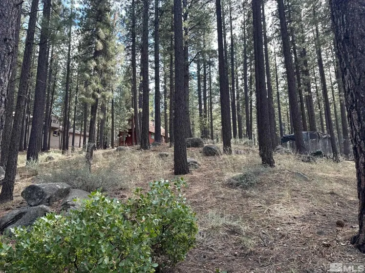 66 Pleasant Valley, Markleeville, California 96120, ,Land,Residential,Pleasant Valley,230008801