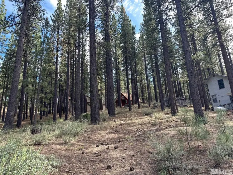 66 Pleasant Valley, Markleeville, California 96120, ,Land,Residential,Pleasant Valley,230008801