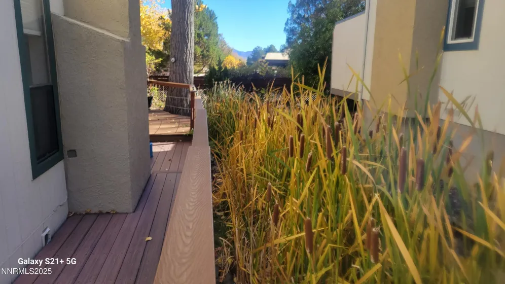 1081 Thompson, Carson City, Nevada 89703, 2 Bedrooms Bedrooms, ,2 BathroomsBathrooms,Residential,Residential,Thompson,250057770