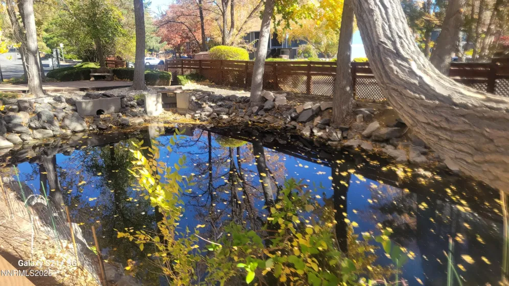 1081 Thompson, Carson City, Nevada 89703, 2 Bedrooms Bedrooms, ,2 BathroomsBathrooms,Residential,Residential,Thompson,250057770