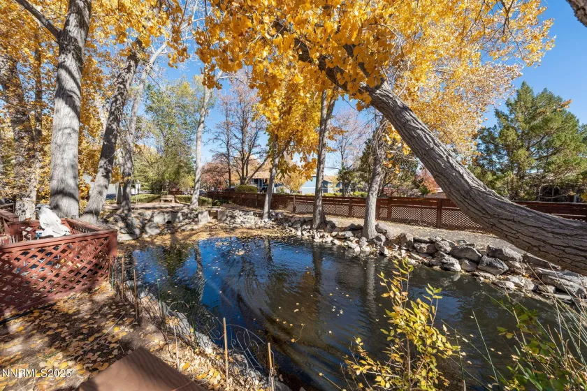 1081 Thompson, Carson City, Nevada 89703, 2 Bedrooms Bedrooms, ,2 BathroomsBathrooms,Residential,Residential,Thompson,250057770