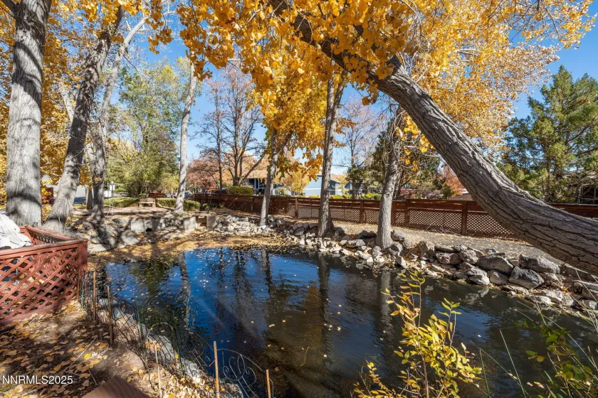 1081 Thompson, Carson City, Nevada 89703, 2 Bedrooms Bedrooms, ,2 BathroomsBathrooms,Residential,Residential,Thompson,250057770