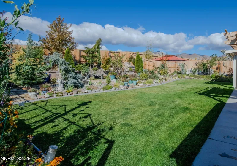 306 Redwall, Dayton, Nevada 89403, 4 Bedrooms Bedrooms, ,3 BathroomsBathrooms,Residential,Residential,Redwall,250057776