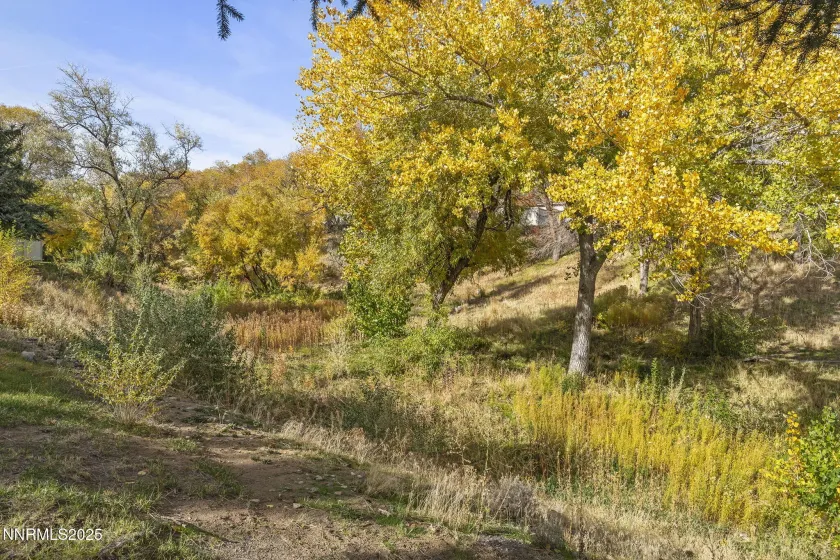 1149 Wagon Wheel, Reno, Nevada 89503, 3 Bedrooms Bedrooms, ,2 BathroomsBathrooms,Residential,Residential,Wagon Wheel,250057786