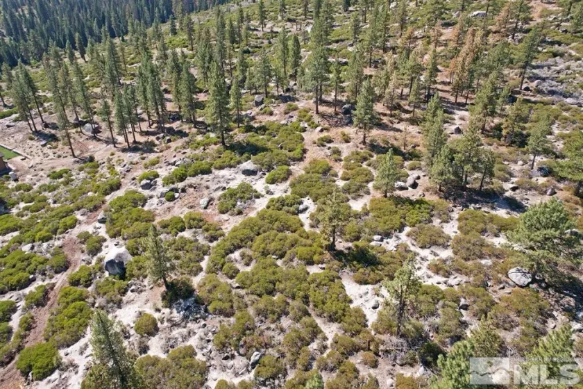 168 Five Creek, Gardnerville, Nevada 89460, ,Land,Residential,Five Creek,220014575