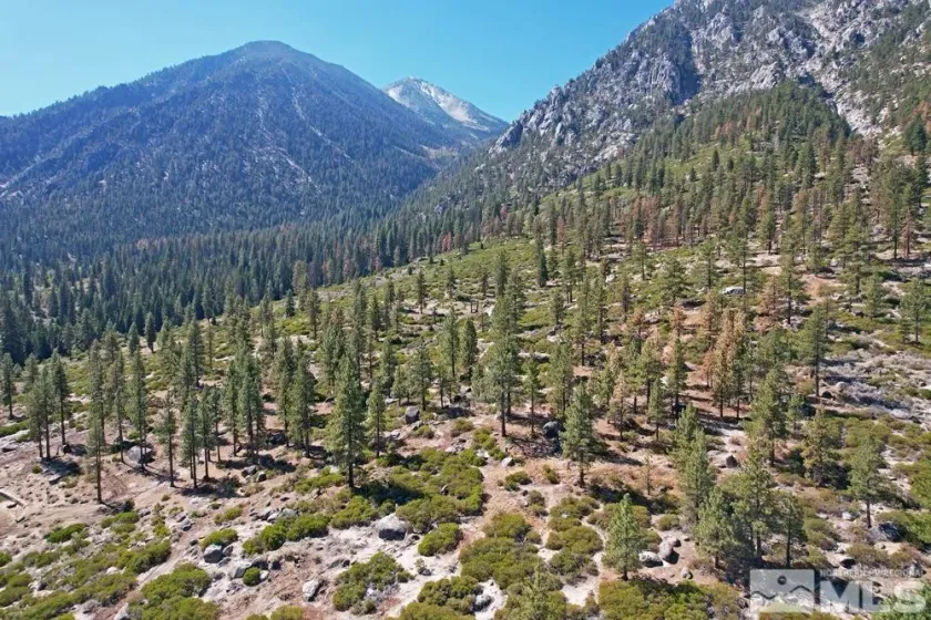 168 Five Creek, Gardnerville, Nevada 89460, ,Land,Residential,Five Creek,220014575