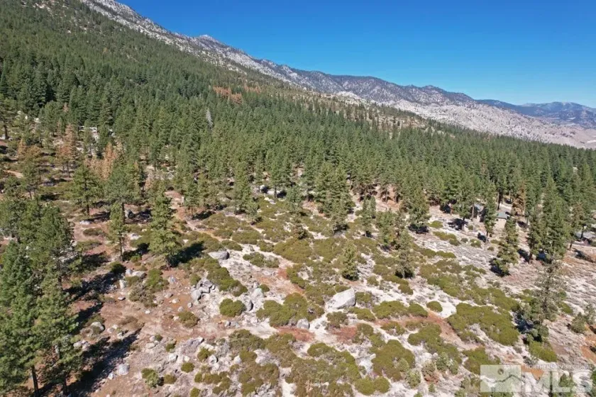 168 Five Creek, Gardnerville, Nevada 89460, ,Land,Residential,Five Creek,220014575