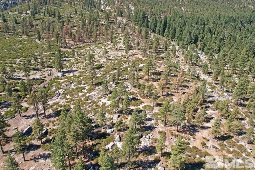 168 Five Creek, Gardnerville, Nevada 89460, ,Land,Residential,Five Creek,220014575