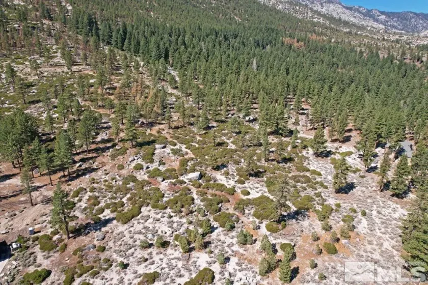 168 Five Creek, Gardnerville, Nevada 89460, ,Land,Residential,Five Creek,220014575