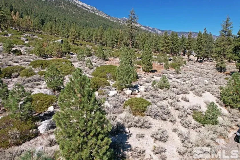 168 Five Creek, Gardnerville, Nevada 89460, ,Land,Residential,Five Creek,220014575