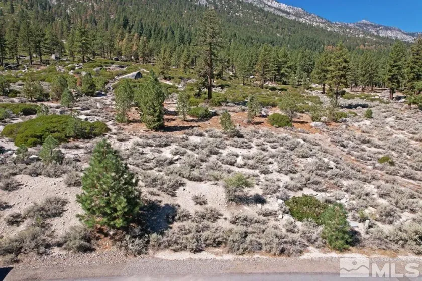 168 Five Creek, Gardnerville, Nevada 89460, ,Land,Residential,Five Creek,220014575