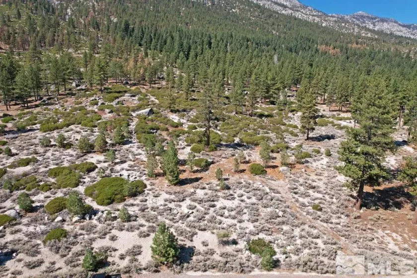 168 Five Creek, Gardnerville, Nevada 89460, ,Land,Residential,Five Creek,220014575