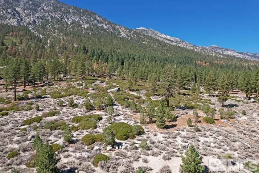 168 Five Creek, Gardnerville, Nevada 89460, ,Land,Residential,Five Creek,220014575
