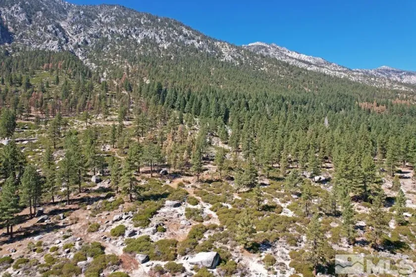 168 Five Creek, Gardnerville, Nevada 89460, ,Land,Residential,Five Creek,220014575