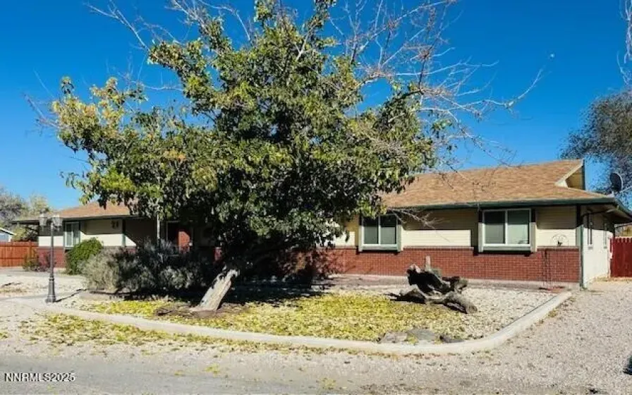 2099 Thomas, Fallon, Nevada 89406, 3 Bedrooms Bedrooms, ,3 BathroomsBathrooms,Residential,Residential,Thomas,250057822