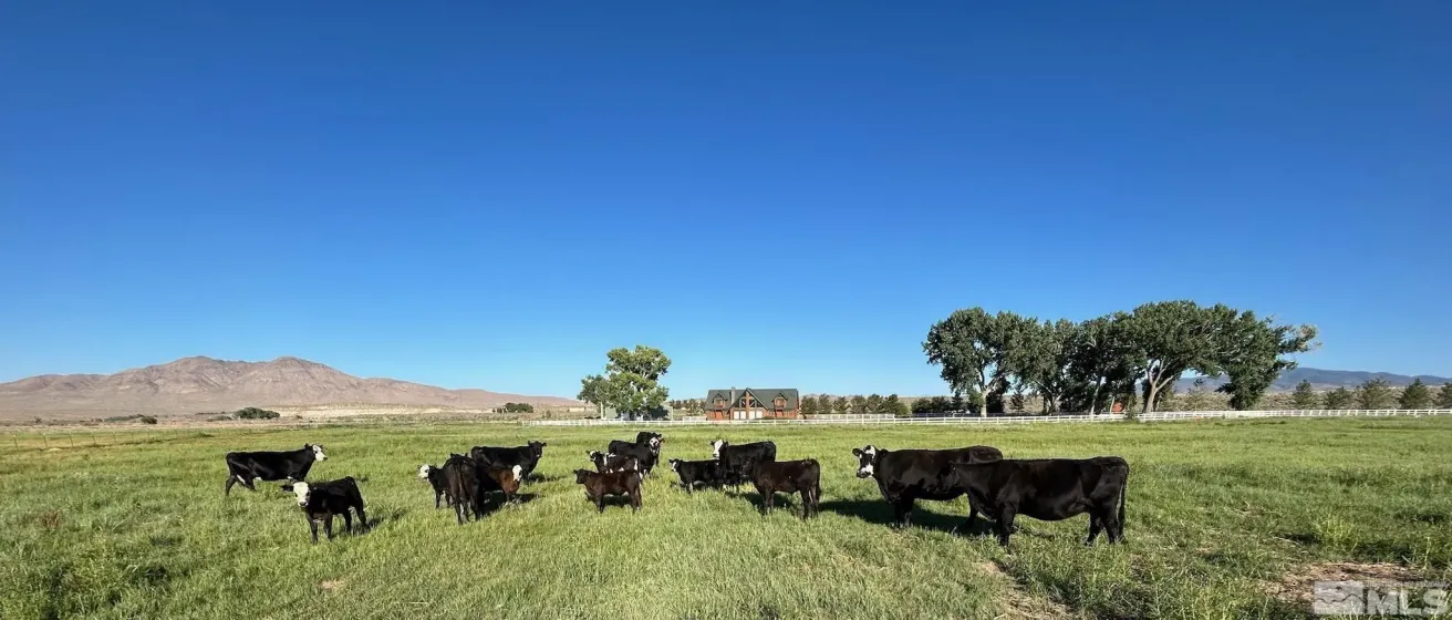 250 Olson Ranch, Wellington, Nevada 89430, 3 Bedrooms Bedrooms, ,3 BathroomsBathrooms,Residential,Residential,Olson Ranch,240005871