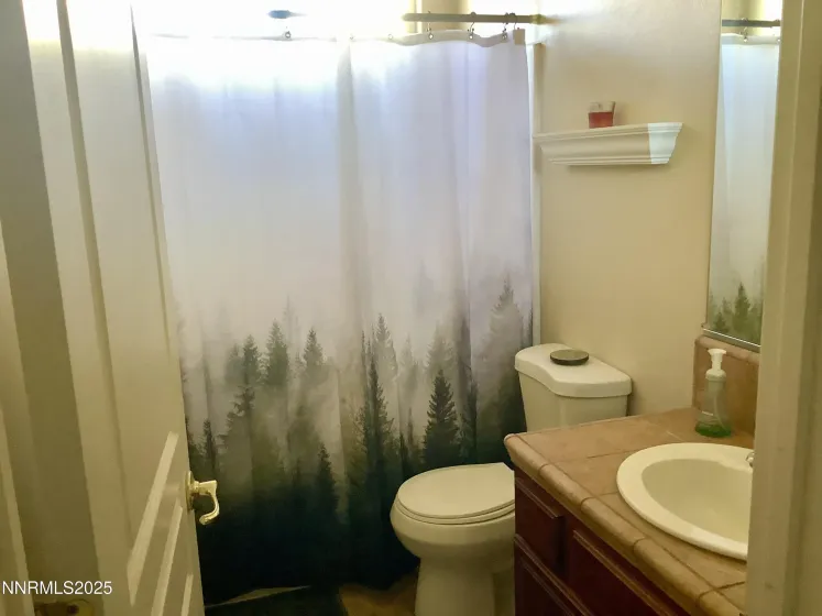 211 Shady Grove, Dayton, Nevada 89403, 3 Bedrooms Bedrooms, ,2 BathroomsBathrooms,Residential,Residential,Shady Grove,250057824